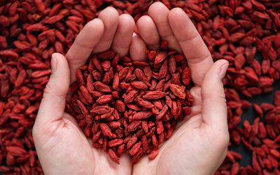 GOJI-BEEREN WIRKUNG: SO GESUND IST DAS SUPERFOOD!