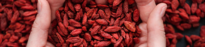 GOJI-BEEREN WIRKUNG: SO GESUND IST DAS SUPERFOOD!