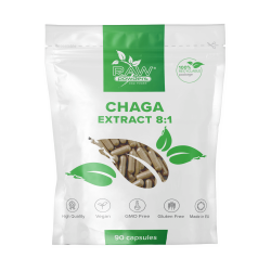 Chaga Extrakt 8:1 500 mg 90 Kapseln